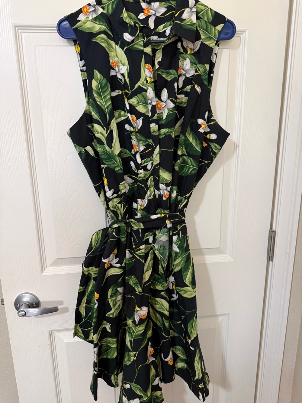 Express Black Floral Button-Up Dress with Green Leaves